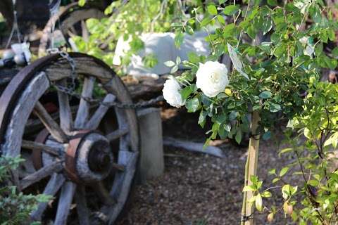Photo: Lana's Peppermint Grove Nursery
